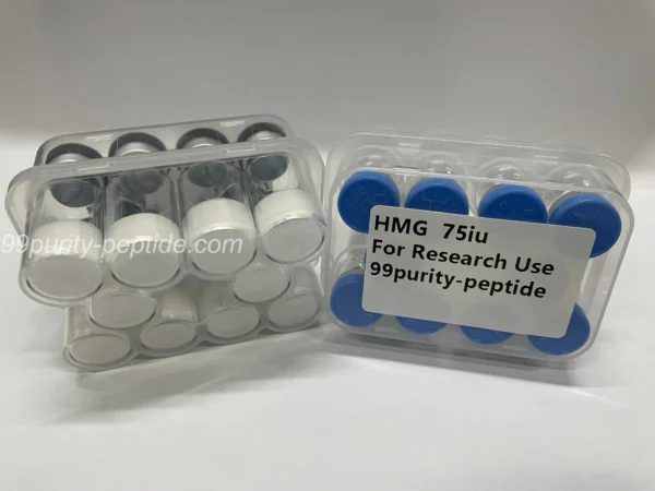 Detailed micro view of HMG purity, optimized for professional hormonal research.